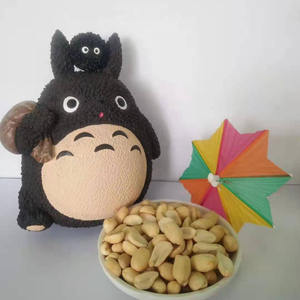 Hochwertige chinesische getrocknete Erdnüsse gerösteter Kern Hot Sale für Snacks - Product Image 1