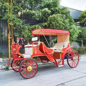 2026 Prix usine Carrosses de tourisme Victoria électriques pour transport spécial et mariages à vendre - Product Image 4