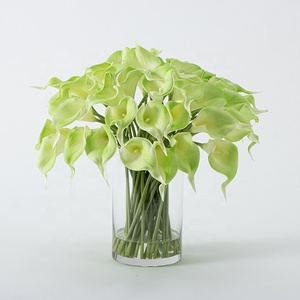Decoración Duradera para Sala de Estar, 50 Piezas de Ramo de <span class=keywords><strong>Flores</strong></span> <span class=keywords><strong>Artificiales</strong></span> de Lirio de Cala Verde Claro Realista <span class=keywords><strong>con</strong></span> Florero de Vidrio - Product Image 2
