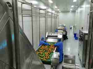 Macchina Automatica per Sbucciare e Denocciolare il Mango, Linea di Taglio a Cubetti per Produzione di Polpa e Sottaceti di Mango - Product Image 1