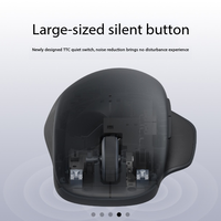Souris sans fil Mijia à double mode 2 Comfort Edition Noir Nuit - Articles pour la maison intelligente >> Produits pour la maison intelligente