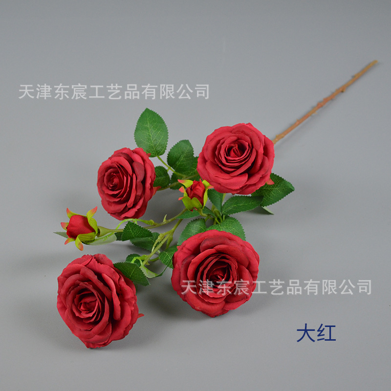 Rose à 6 têtes, rouge vif