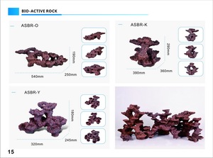 Solução para Sistema de Aquário BR-K: Material Filtrante Ecológico de Cerâmica Bioativa para Recifes e Aquários de Corais - Product Image 2