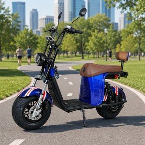 Vélo électrique haut de gamme 40Ah/20Ah Lithium Étanche Moteur 1000W Suspension intégrale Guidon surélevé Large Capacité de charge 200kg X26 Prix - Product Image 1