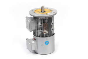 Yvf2 loạt 220V 380V <span class=keywords><strong>3</strong></span> giai đoạn động cơ cảm ứng động cơ điện tần số biến tốc độ <span class=keywords><strong>3</strong></span> giai đoạn không thấm nước ba pha động cơ - Product Image 4