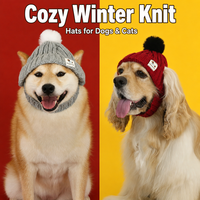 Bonnet tricoté pour animaux de compagnie avec trous pour les oreilles, bonnet chaud d'hiver pour petits chiens, chats, chiots, chatons, casquette thermique, vente en gros directe d'usine