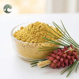 Wholesale 1kg Food Grade Pine Pollen Powder 99% Cell Wall Cracked Herbal Extract with <strong>Protein</strong> Drum Packaging - Product Image 1