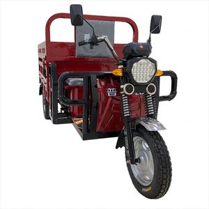 มอเตอร์ไซค์สามล้อเปิดประทุนราคาถูกสำหรับขาย - Product Image 1