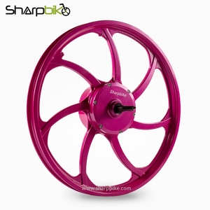 Motor sin Escobillas de 36V 250W/350W con Transmisión por Engranajes para - Product Image 2