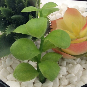 Modèles succulents artificiels en plastique de cactus faits à la main décor de <span class=keywords><strong>fausse</strong></span> verdure pour l'obtention du diplôme à la maison table d'halloween de noël et du nouvel an - Product Image 4
