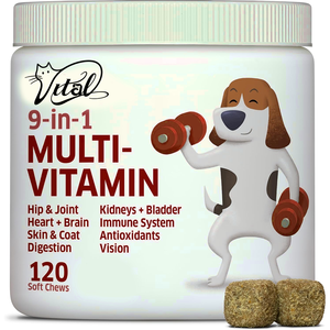 علاج للكلاب OEM-مكملات مضغ ناعمة متعددة الفيتامينات إنزيمات هضمية بروبيوتيك لطبقة الجلد جهاز المناعة الصحة العامة - Product Image 1