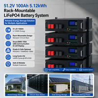 Stock UE 51.2V 100Ah 5.12kWh Batterie de stockage d'énergie solaire LiFePO4 pour serveur montable en rack avec BMS intelligent CAN RS485 OEM Tout-en-un 5-32kW