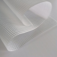 Bâche en vinyle transparent bâche en PVC transparente bâche transparente imperméable PVC Film renforcé bâche bâche tissu de maille