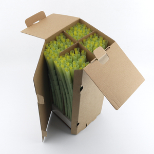 Papiers à rouler bio à combustion lente Cône pré-roulé Cône vert pré-fabriqué Accessoires pour fumer du tabac 1g Cône pré-roulé pour herbes - Product Image 6