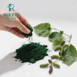 Экстракт листьев шелковицы, хлорофилл 99%, порошок хлорофиллина натрия и меди, собственная торговая марка (OEM) - Product Image 4