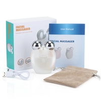 Appareil de beauté manuel pour usage domestique, rouleau de glace électrique, masseur facial liftant, micro-courant vibrant, resserrement de la peau, étanche