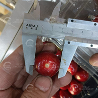 Industriële & tafelmodel kersenontpitter, fruitontpitter voor kersen, longan & wilde vruchten.