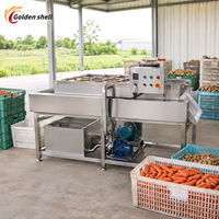 Borstelrolwasmachine voor fruit en groenten, wortelen, aardappelen, etc.