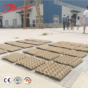 Macchina per la produzione di vassoio per uova ad alta velocità tipo personalizzato macchina per la lavorazione di vassoio per uova di alta qualità - Product Image 6