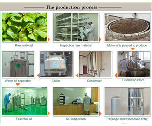 Aceite esencial de pachulí terroso sin alcohol para hacer jabón y mezclas de masaje Aceite de pachulí natural - Product Image 5