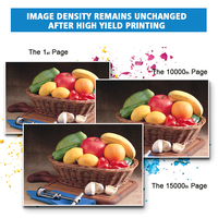 Cartouche de toner multicolore ShinColor compatible Konica Minolta Ricoh MP 2503 - Ensemble complet - Rendement de 15 000 pages - Garantie de 24 mois - Vente en gros