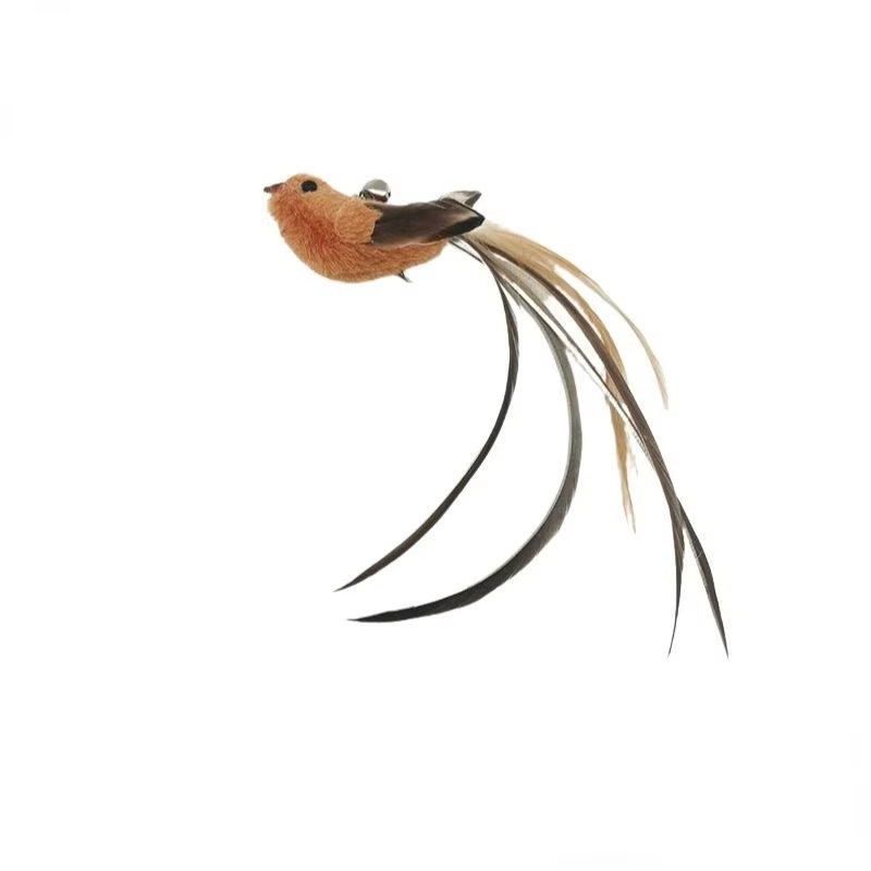 Oiseau vida