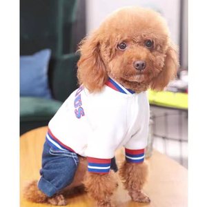 Patrón sólido Teddy Bear Dog Coat XS Anti-Dirty <span class=keywords><strong>Pet</strong></span> Sudadera para cachorro pequeño Schnauzer Abrigo de invierno para cuatro patas Año Nuevo - Product Image 5