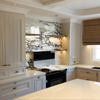 Meubles de cuisine de style européen-américain, portes Shaker à panneaux surélevés avec peinture personnalisée, cuisine complète avec îlot central