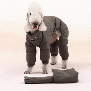 Grand Chien Manteaux Rembourré Personnalisé Pet Mode Vêtements Extérieur Amovible Col Épaisseur Luxe Hiver Chien Bouffée Veste <span class=keywords><strong>pour</strong></span> <span class=keywords><strong>Whippet</strong></span> - Product Image 2