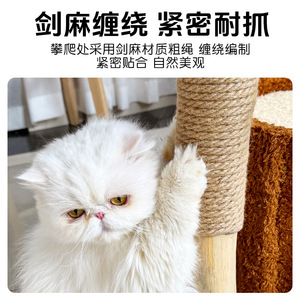 Árbol para gatos de madera maciza al por mayor, poste rascador, estructura para trepar para gatos, soporte para gatos de sisal. - Product Image 4