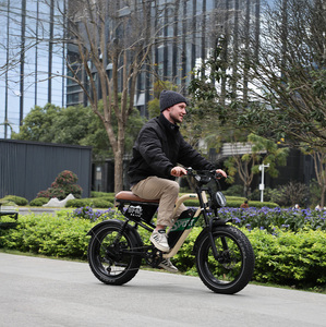 Onesport W66 20 pouces gros pneus loisirs urbains équitation moto électrique EBike 48v batterie au lithium expédiée entrepôt européen - Product Image 6