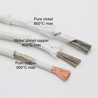 Reiner Nickel Mika Glasfaser geflochtener 600 Grad hochtemperaturdraht feuerbeständiges Kabel