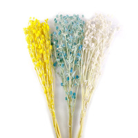Tête de fleur de Teasel Dipsacus stabilisée, naturelle et véritable, teinte, pour artisanat DIY, arrangements floraux, décoration de mariage et cadeau