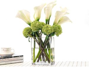 Jarrón de Vidrio Transparente Moderno para Cultivo Hidropónico, Jarrón Decorativo de Vidrio de Boca Ancha - Product Image 4