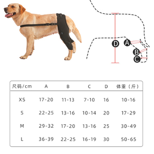 Soporte de Rodilla Personalizable para Perros, Protector de Piernas, Manga de Recuperación para Mascotas, Soporte para <span class=keywords><strong>Dolor</strong></span> Articular - Product Image 6