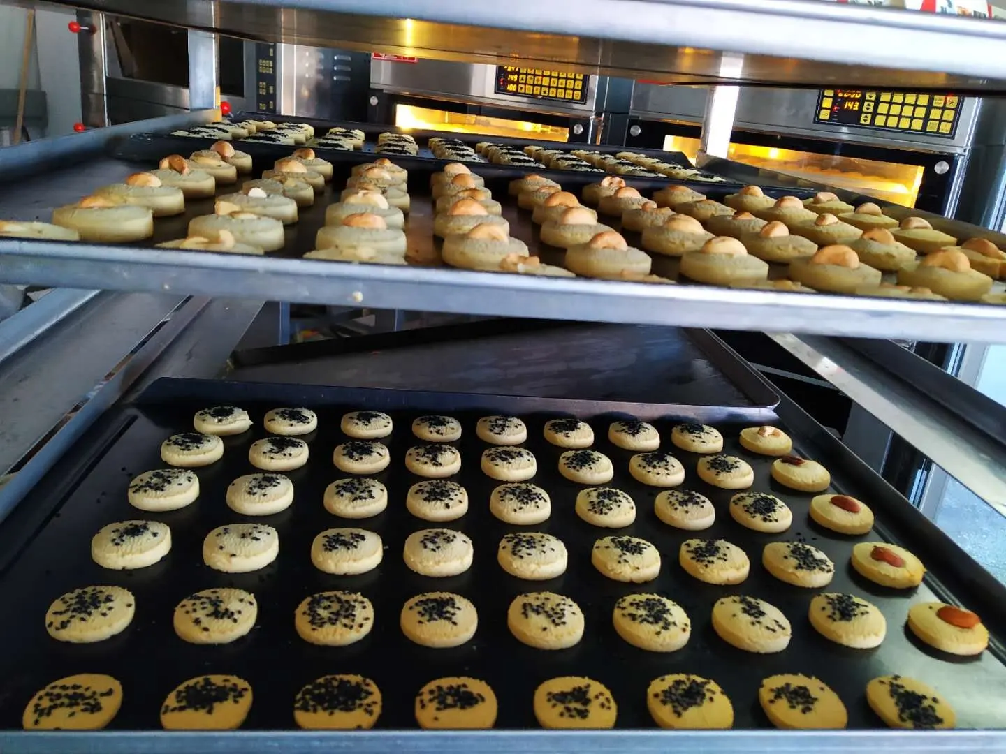 Tự Động Cookie Biscuit Làm Hình Thành Máy Biscuit Để Gửi Tiền Lớp Máy