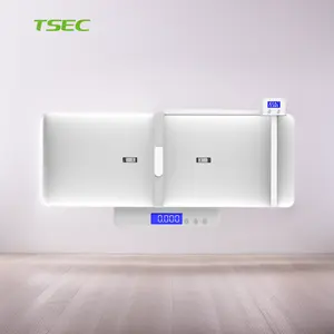 TSEC新创意电池电源高度轨道220lb数字屏幕儿童婴儿母亲体重婴儿称重产品