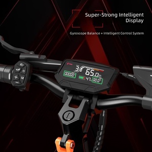 Scooter de Aluminio de Doble Motor con Batería de 30 Ah, Diseño Plegable, Velocidad de 80 km/h, Alcance de 60 km, S016, Doble Motor de Alta Potencia - Product Image 5