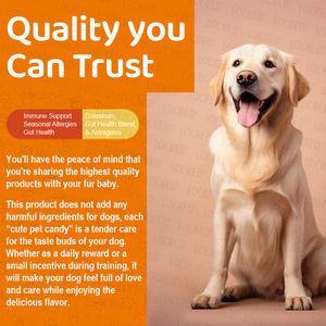 Probióticos para Perros, Enzimas Digestivas, Apoyo Inmunológico, Digestión Sensible, Masticables Suaves Seguros para el Intestino, Alergias Estacionales, 90 Unidades, Venta Caliente OEM - Product Image 5