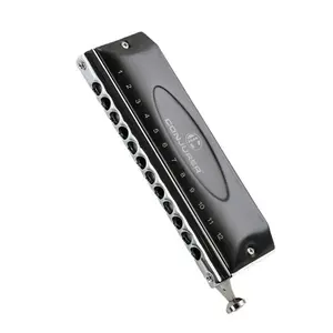 Goochelaar Chromatische Mondharmonica Voor Beginner 12 Holes 48 Tune Filmvrije Praktijk Chromatische Mondharmonica Voor Studenten