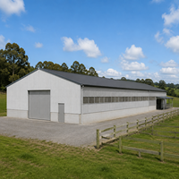 Bâtiment d'entrepôt agricole préfabriqué en structure métallique, conforme CE, résistant à la corrosion, pour entrepôt métallique et atelier