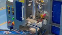 Automatische 2-kommen verpakkingsmachine voor dadels en jujubes, voor het tellen en hersluiten van zakjes met gedroogd fruit