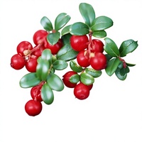 Hoogwaardig 99% Alpha Arbutin poeder waterextract 100G puur natuurlijk kruidenextract vitamine C voedingskwaliteit