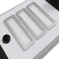Luminaire LED solaire DC en aluminium 120W IP66 pour éclairage de voirie, zones de stationnement, parcs, villages et routes