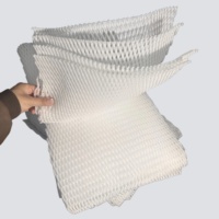 Coussin en mousse EPE perforée respirante pour l'emballage des champignons frais, des shiitake, des truffes, doublure de boîte, transport et exportation