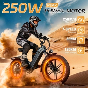 Vélo électrique cargo à cadre basse, pneus larges CST 20x4.0, 250 W, 48 V, batterie 18 Ah, freins hydrauliques Zoom, 7 vitesses - Product Image 2