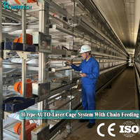 Nouvelle cage d'élevage de poulets de type H moderne Raisetech avec système de nettoyage automatique du fumier, haute productivité pour les fermes avicoles