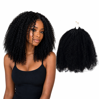 Cheveux humains malaisiens doublement étirés, bouclés afro crépus, pour tressage, 8-20 pouces, 50g, micro-anneaux