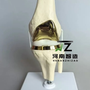 ข้อต่อเข่าเทียมแบบจำลองการผ่าตัดทำด้วยมือแบบจำลองการผ่าตัดเพื่อการฝึกอบรมทางการแพทย์ - Product Image 4