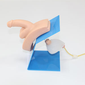 Maniquí de entrenamiento de enfermera avanzado, modelo de enseñanza, modelo de entrenamiento de cateterismo urinario masculino de alta fidelidad para entrenamiento de enfermería - Product Image 2